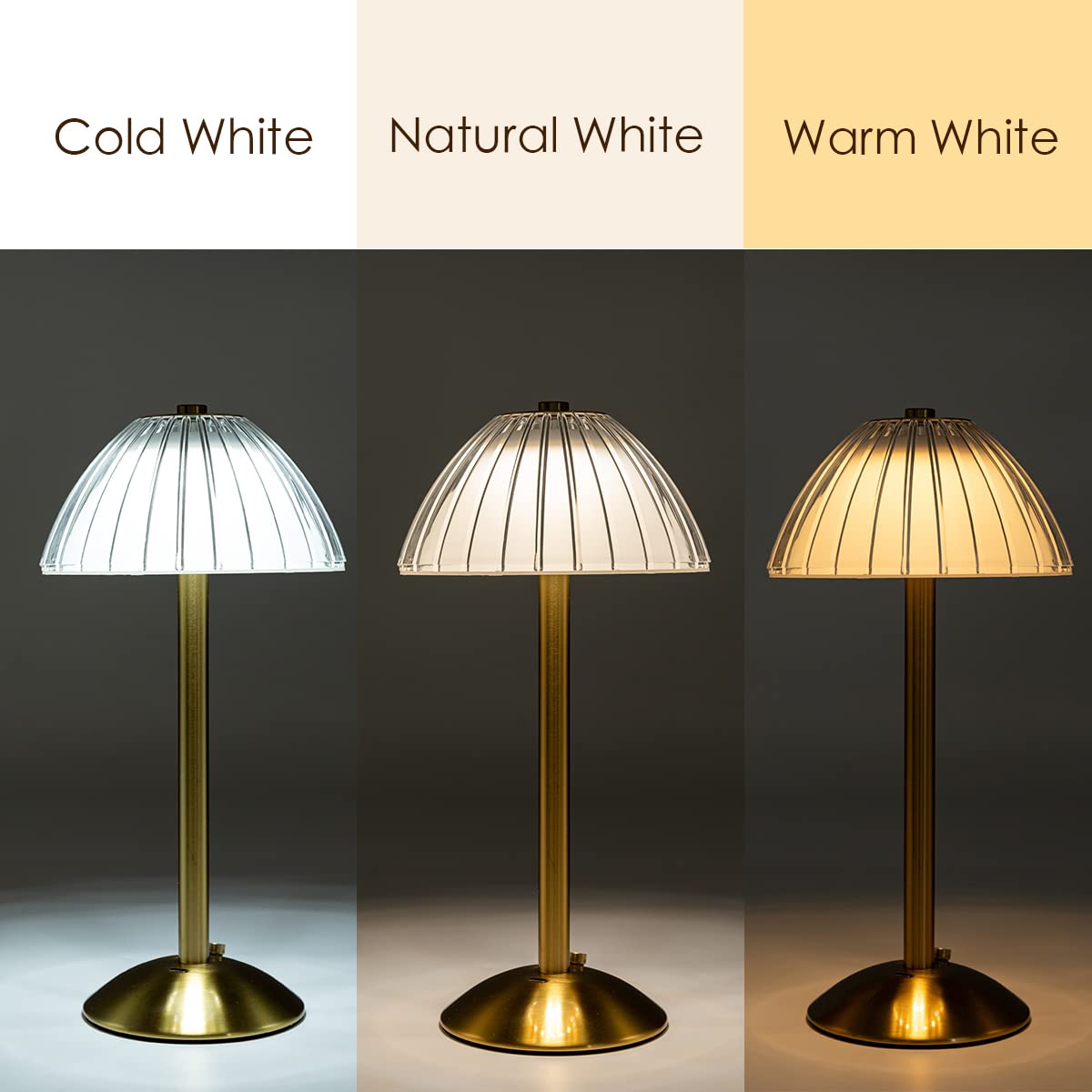 Domiq: Cordless Rechargeable LED Table Lamp, Touch Dimmer, Soft Glow, Portable for Dining, Bedroom, Desk & Outdoor Use