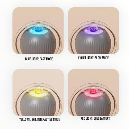 Rollie: Motion Ball for Cats & Dogs, Self-Rotating Rechargeable Pet Toy with Auto Rolling Action & Light-Up Surface for Indoor Play & Chase