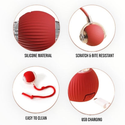 Rollie: Motion Ball for Cats & Dogs, Self-Rotating Rechargeable Pet Toy with Auto Rolling Action & Light-Up Surface for Indoor Play & Chase